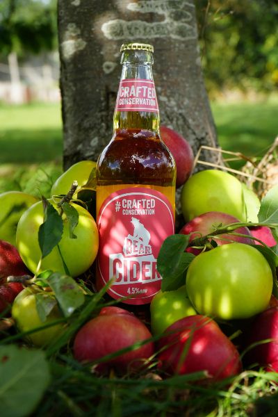 Bear Ciderrr